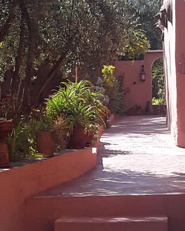 Auberge Le Mouflon Ouirgane Bagian luar foto